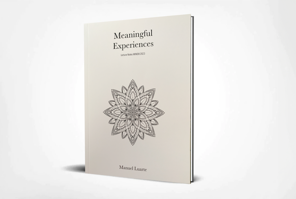 Meaningful Experiences by Manuel Luarte (Lecture Notes)