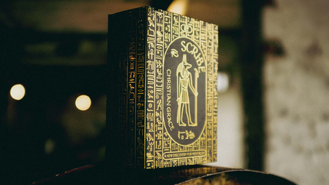 Fake Genius by Steve Cook