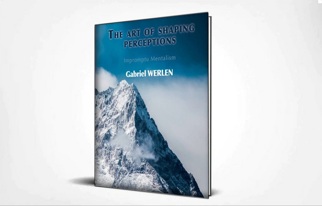 The Art of Shaping Perceptions by Gabriel Werlen