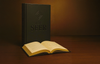 The Seer by Manuel Luarte